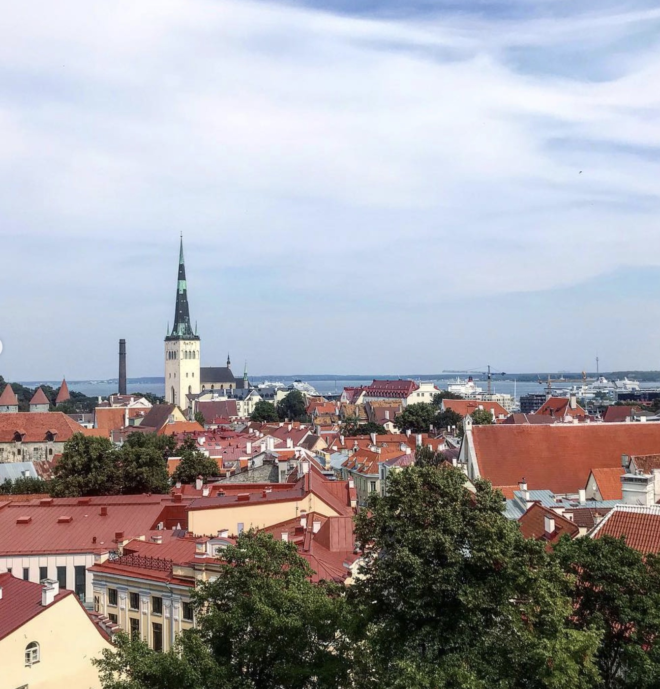 The skyline of Tallinn, Estonia. There is a tall church spire and many buildings with red roofs, dotted with trees. In the background, there is a body of water.